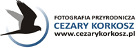 Fotografia Przyrodnicza Cezary Krokosz