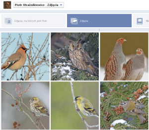 Galeria Piotra Strażnikiewicza