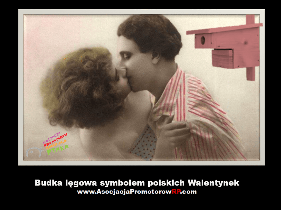 walentynki2014